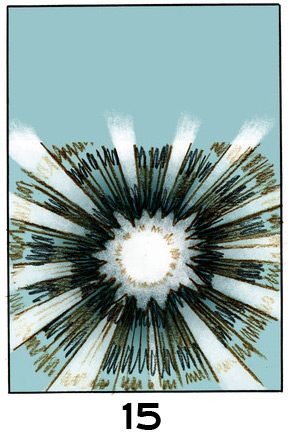 15Une explosion ou une étoile projette des rayons dans toutes les directions.